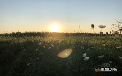 Vraća nam se proljeće: Od petka toplije vrijeme