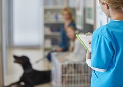 Veterinarske usluge u Srpskoj znatno skuplje od 1. januara 