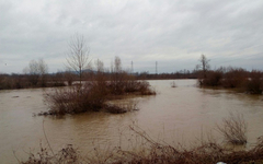 U porastu vodostaj Drine, moguće izlivanje u Janji, Amajlijama i Popovima