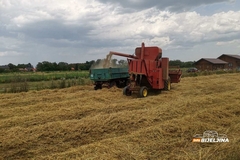 "Nema svrhe za 36 feninga proizvoditi pšenicu, a kupovati hljeb za dvije marke"