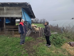 Vrijedni Radovanovići velikog srca: Mnogo nam znači što unuk želi da ostane na imanju i unaprijedi ga