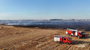 Snimci iz vazduha: Pogledajte razmjere velikog požara kod Bijeljine (VIDEO)