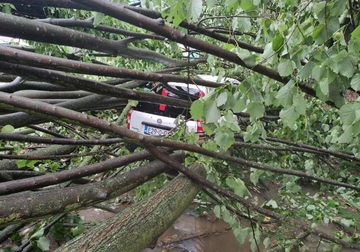 OLUJA ČUPALA DRVEĆE Vjetar u Srpskoj duvao brzinom od 67 kilometara na čas