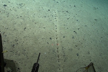 Naučnici zbunjeni misterioznim rupama otkrivenim na dnu okeana