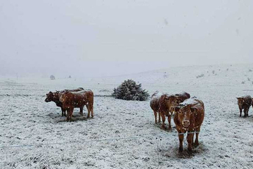 Snijeg ponovo zabijelio BiH