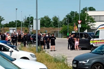 Majke sa Balkana potukle se ispred austrijske škole, šestoro povrijeđenih