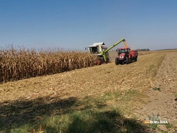 Prinosi kukuruza u Republici Srpskoj pali u 2025, cijena neizvjesna