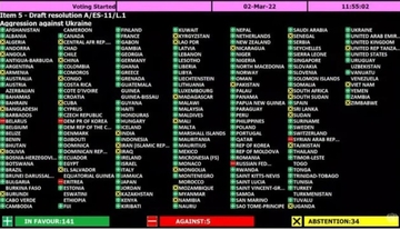 Generalna skupština UN usvojila rezoluciju protiv Rusije