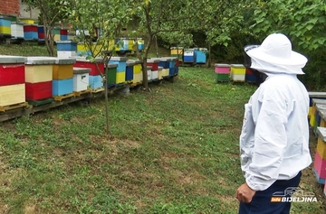 Porodica Tomić iz Gradiške pokazuje da se od pčelarstva može živjeti lijepo i na selu