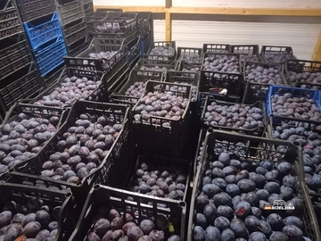 Tomići iz Glogovca ne žele selo mijenjati za grad: Prave 100% prirodne sokove, prodaju sve što proizvedu