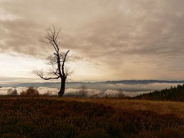 Sutra pretežno oblačno
