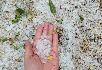 Nevrijeme: Led u gradu u BiH izazvao haos na usjevima (FOTO)