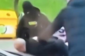 Uhapšen muškarac osumnjičen da je baku izbo nožem pred unukom