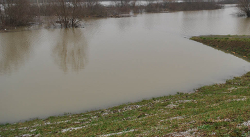 Vodostaj Save premašio sedam metara