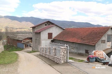 Otkrio kako profitirati na selu: Nedeljko Maksimović (70) iz Zvornika dnevno proda 2.000 jaja (FOTO)