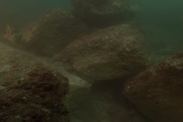 Pronađene netaknute korpe s voćem iz IV vijeka p.n.e.