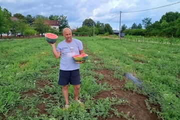 Domaća lubenica stigla prije uvozne: Inovativnom tehnikom uzgojio prve lubenice u BiH – slatke kao med