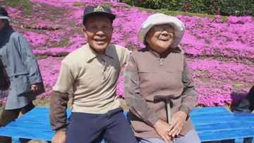 Priča kao iz filma: Dvije godine stvarao cvjetnu baštu za svoju slijepu suprugu (VIDEO)