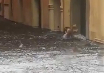 Poplave napravile haos u Rusiji: Evakuisano više od 450 ljudi, među njima i turisti, meteorolozi najavljuju nastavak padavina