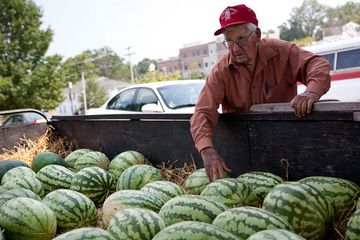 Kako da izaberete savršenu lubenicu? 6 jednostavnih savjeta za najsočniji plod ovog ljeta