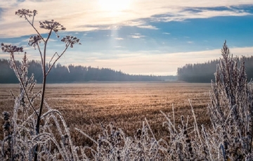 Pretežno sunčano i hladno
