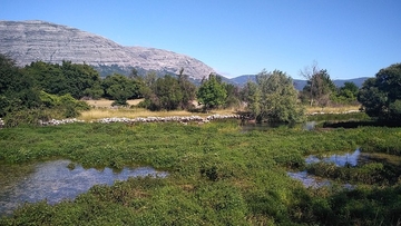 PLANINA DIVOVA: Pogledajte gdje žive najviši ljudi na svijetu, a stručnjaci su njihovom visinom očarani još od 19. vijeka