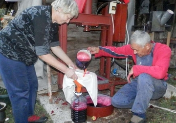 Aleksandar na planinskim obroncima gaji “kraljicu” među povrćem: Sok od njegove organske cvekle SPAŠAVA IMUNITET