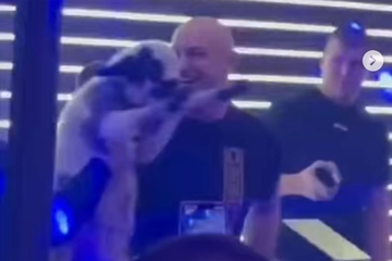 Podnesene tri krivične prijave protiv Desingerice zbog jagnjeta na sceni (VIDEO)