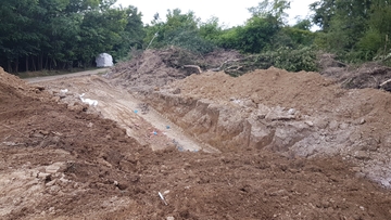 Neadekvatno odlaganje uginulih životinja opasnost za širenje afričke kuge 