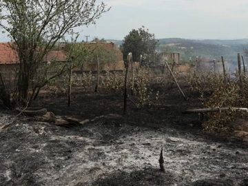U Srbiji za deset dana više od 1.400 požara