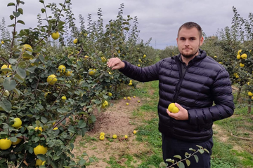 Vjeroučitelj postao voćar: Dunja donosi prve plodove