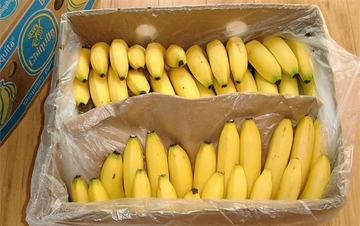 Pronađen kokain među bananama, uhapšena tri Albanca