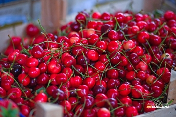 Trešnje koštale i do 30 KM i uglavnom propadaju u marketima