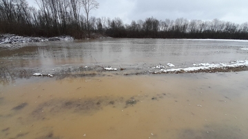 Sava u Semberiji se izlila na poljoprivredno zemljište u mjestu Novi (FOTO)