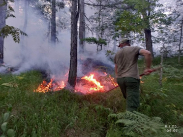 Požar kod Teslića lokalizovan – izgorelo 14 hektara šume, šteta tek treba da se procijeni
