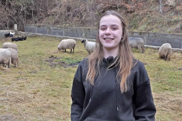 Djevojčica iz BiH željela ovcu, pa dobila stado (VIDEO)