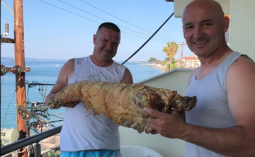 Kad Srbi krenu na more: Jagnje od 27 kilograma NA PLAŽI u Grčkoj 