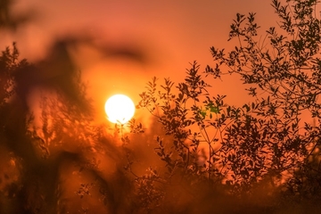 Od danas na snazi CRVENO UPOZORENJE zbog VISOKE TEMPERATURE