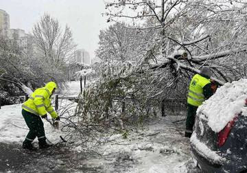 SNJEŽNO NEVRIJEME U Beogradu palo više od 300 stabala i 40 bandera