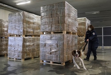 Belgija kokainski centar Evrope, ključni dileri iz Hrvatske, BiH i Albanije