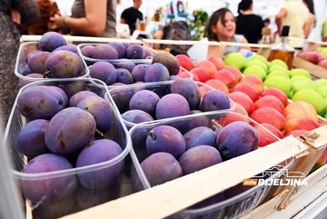 Rod šljive u Brčkom podbacuje zbog kiša – očekuje se viša cijena na tržištu