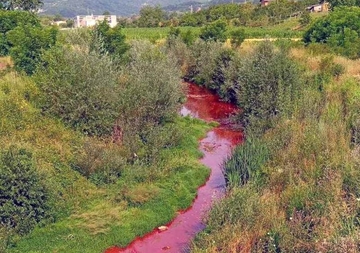Ekološka katastrofa na Sapni: Crveni mulj iz "Nove Alumine" izazvao pomor ribe