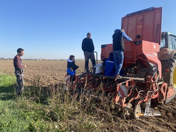 Napreduje ozima pšenica u Semberiji, ali joj prijeti opasnost: “Simptome možemo uočiti tek u proljeće”