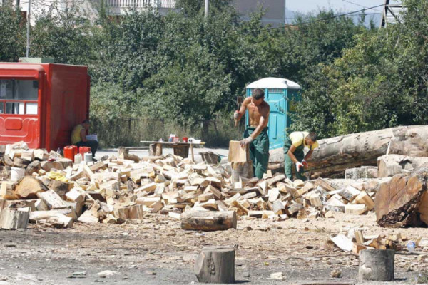 Na plusu nabavljaju drva za debeli minus