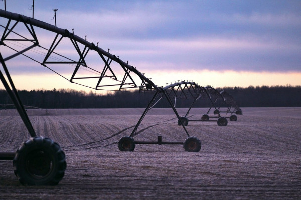Srpska poučena iskustvama sa sušama ulaže u sisteme za navodnjavanje