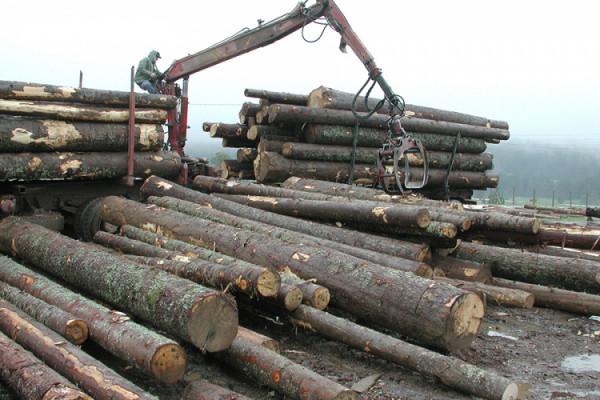 Postignut dogovor: Stop izvozu trupaca, vlade uvode takse