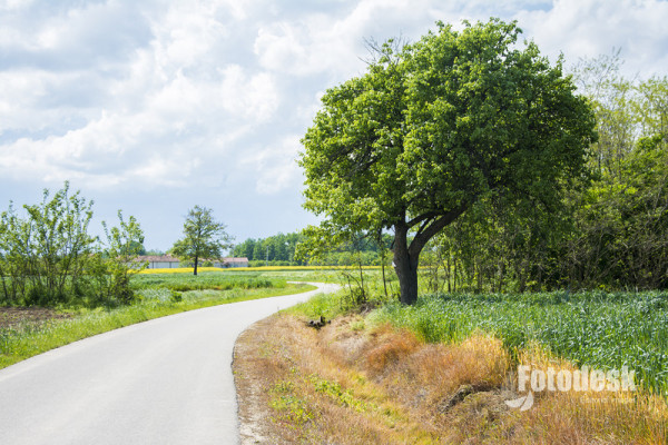 Tokom dana zahlađenje