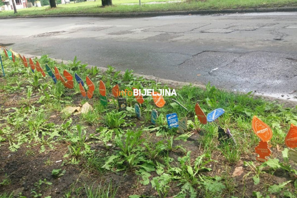 Bijeljina: Mirisnim jelkicama tjera smrad iz naselja /FOTO/