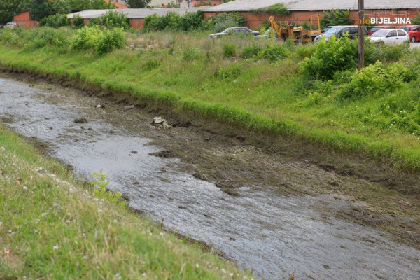 Gradska uprava traži krivca za pomor ribe