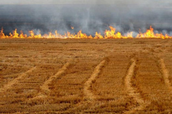 Zabranjeno spaljivanje žetvenih ostataka na njivi